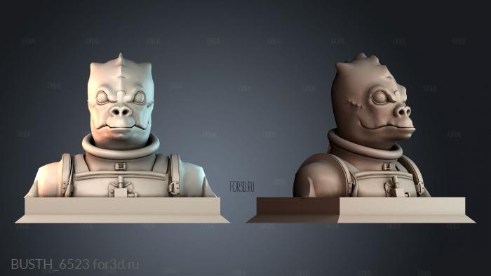 BUSTH_6523 3d stl модель для ЧПУ