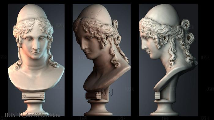 BUSTH_6543 3d stl модель для ЧПУ