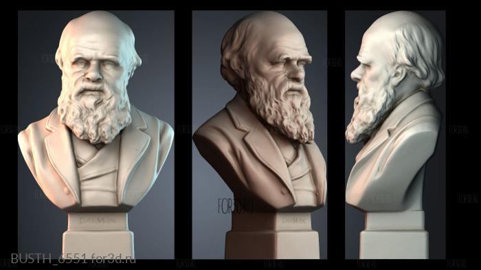 BUSTH_6551 3d stl модель для ЧПУ