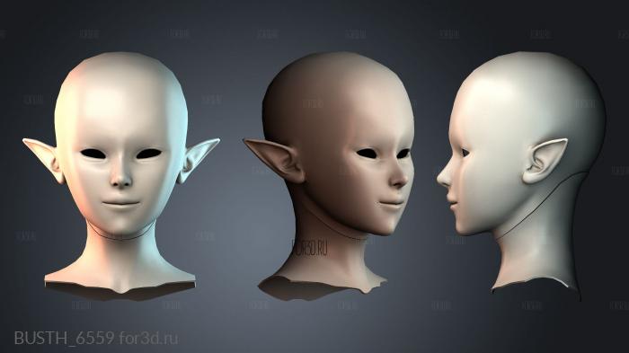 BUSTH_6559 3d stl модель для ЧПУ