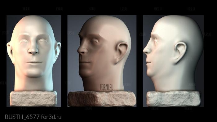 BUSTH_6577 3d stl модель для ЧПУ