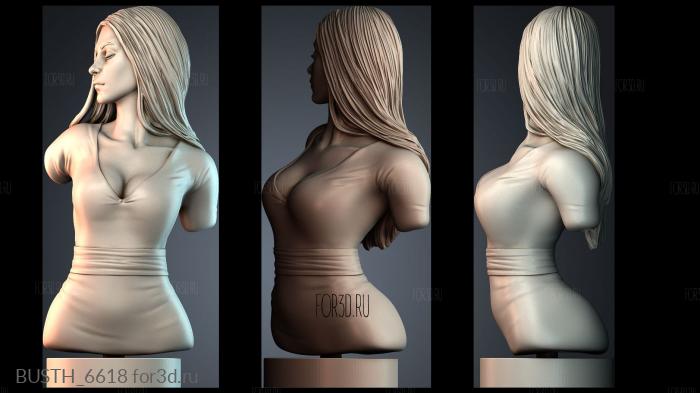 BUSTH_6618 3d stl модель для ЧПУ