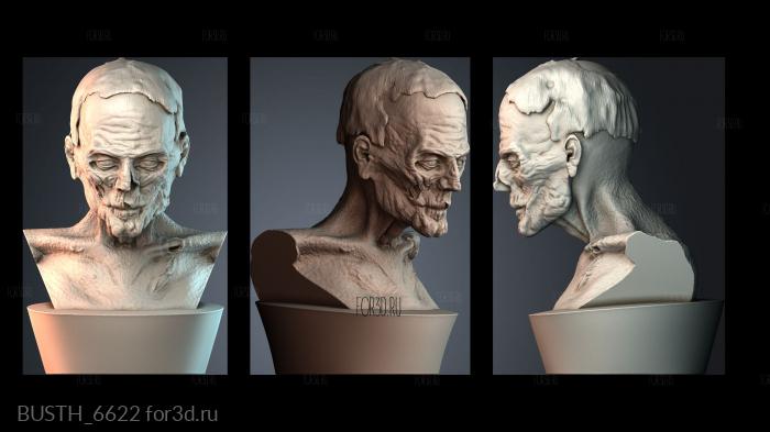 BUSTH_6622 3d stl модель для ЧПУ