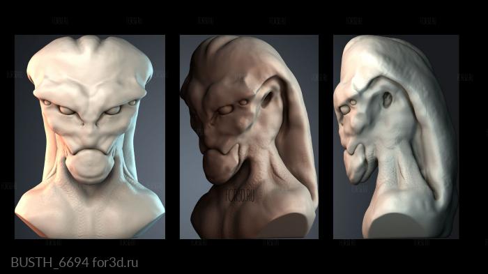 BUSTH_6694 3d stl модель для ЧПУ
