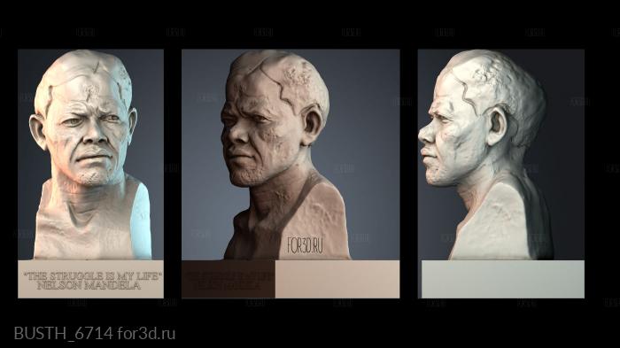 BUSTH_6714 3d stl модель для ЧПУ