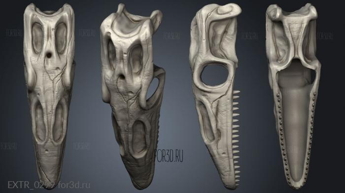 lizard skull 3 stl model for CNC