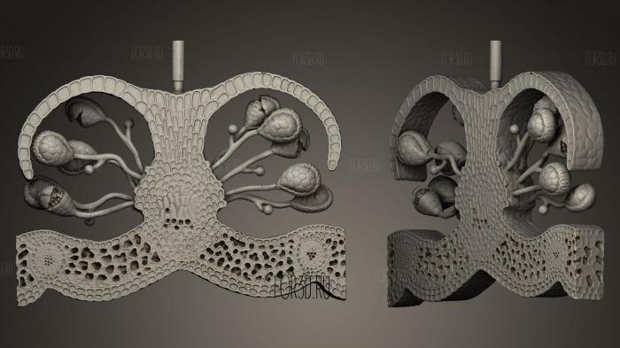 Сечин дель синанджио де ун хелечо 3d stl модель для ЧПУ