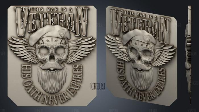 Skull Veteran 3d stl модель для ЧПУ