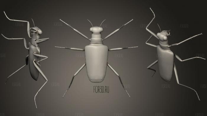 Six Spotted Tiger Beetle stl model for CNC