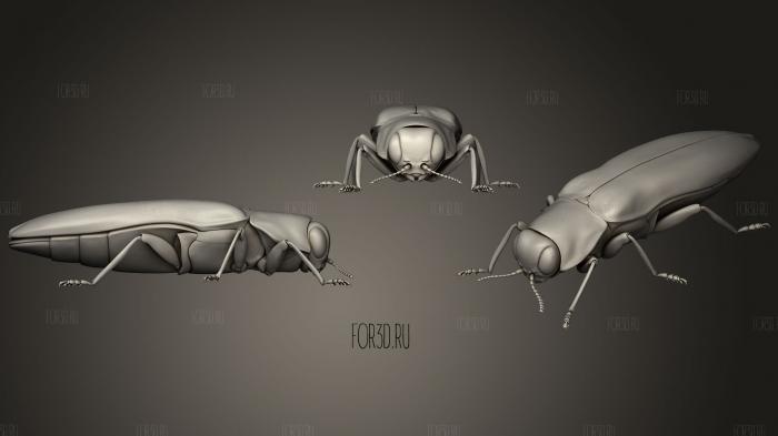 Insect beetles 1067 stl model for CNC
