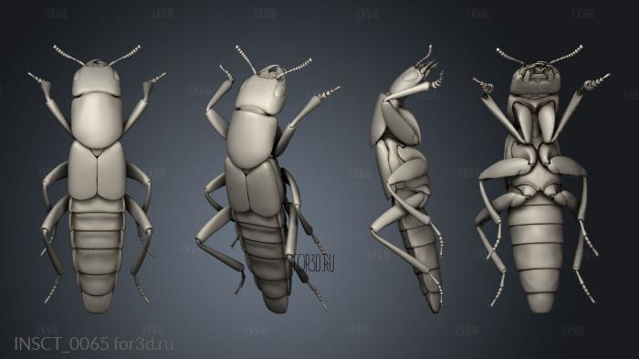 insects beetle stl model for CNC