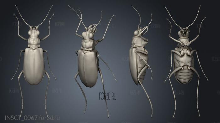 insects beetle stl model for CNC