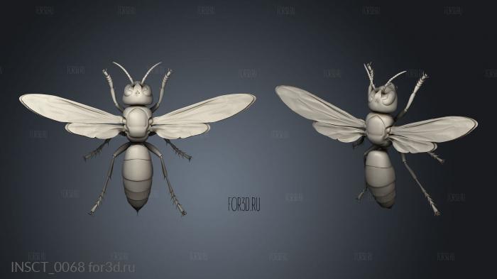 insects beetle stl model for CNC