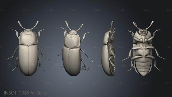 insects beetle stl model for CNC