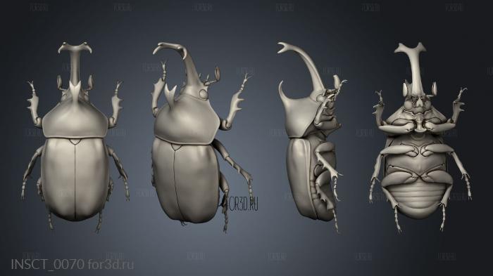 insects beetle stl model for CNC