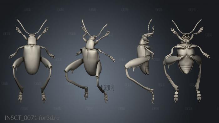 insects beetle stl model for CNC