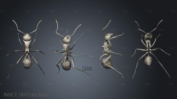 insects beetle stl model for CNC