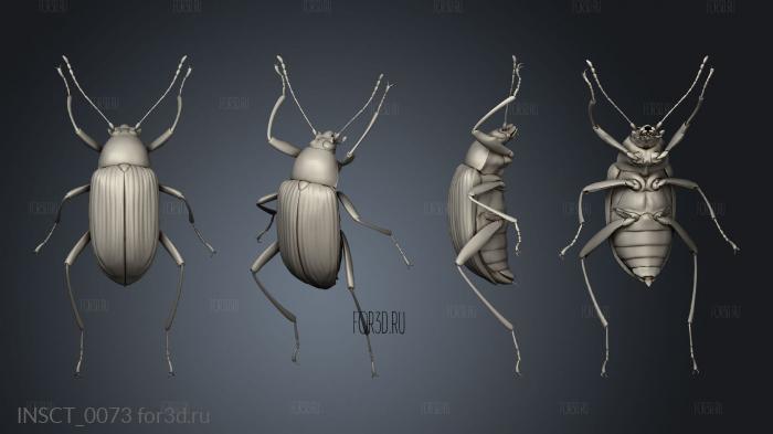 insects beetle stl model for CNC