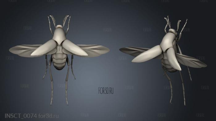 insects beetle stl model for CNC