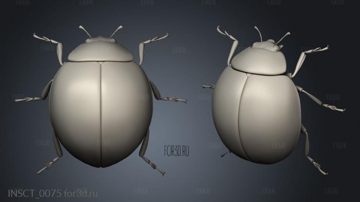 insects beetle stl model for CNC