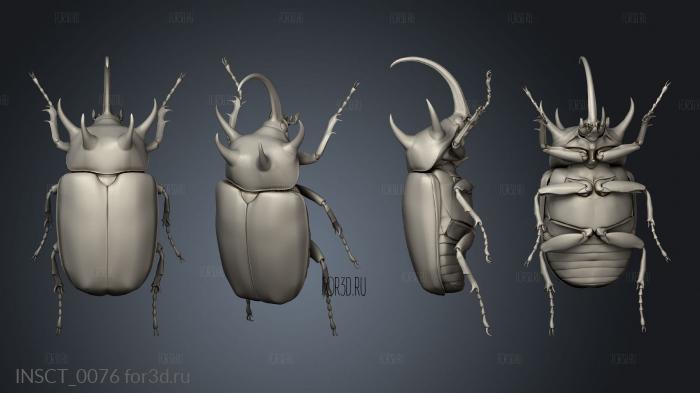 insects beetle stl model for CNC