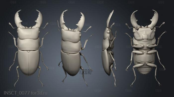 insects beetle stl model for CNC