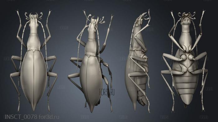 insects beetle stl model for CNC