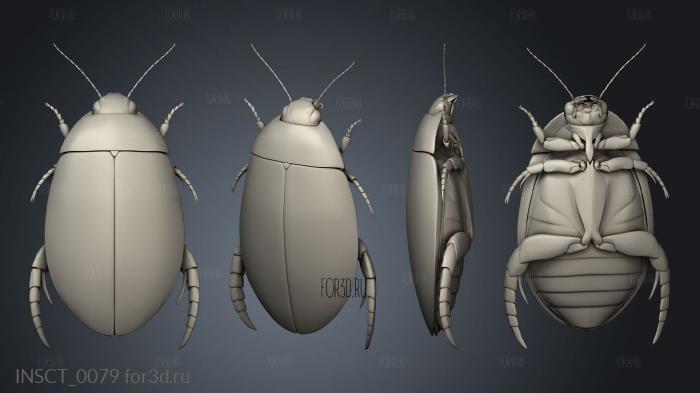 insects beetle stl model for CNC