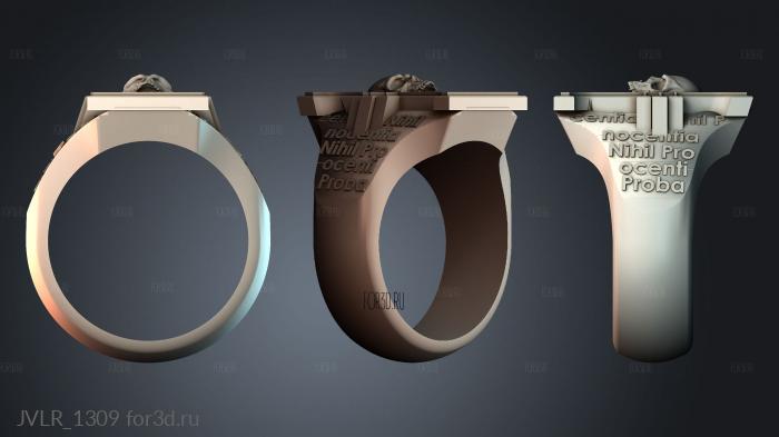 JVLR_1309 3d stl модель для ЧПУ