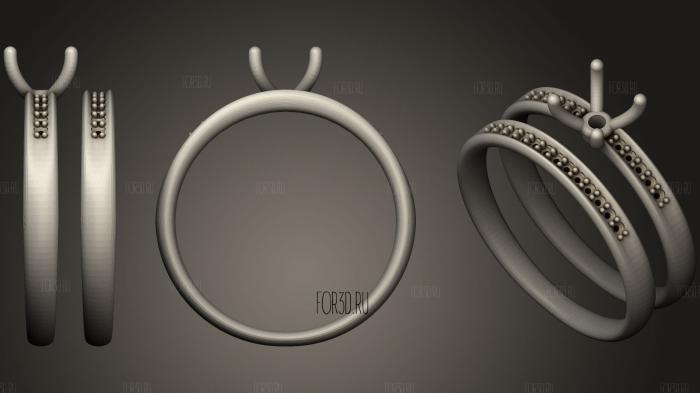 1ct Engagement Ring with 1pt diamonds Size 10 3d stl модель для ЧПУ