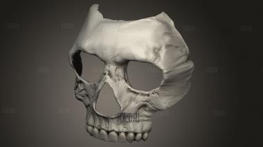 Маска призрака из Modern Warfare 3d stl модель для ЧПУ