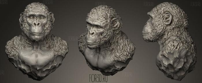 Monkey Australopithecus stone bust stl model for CNC