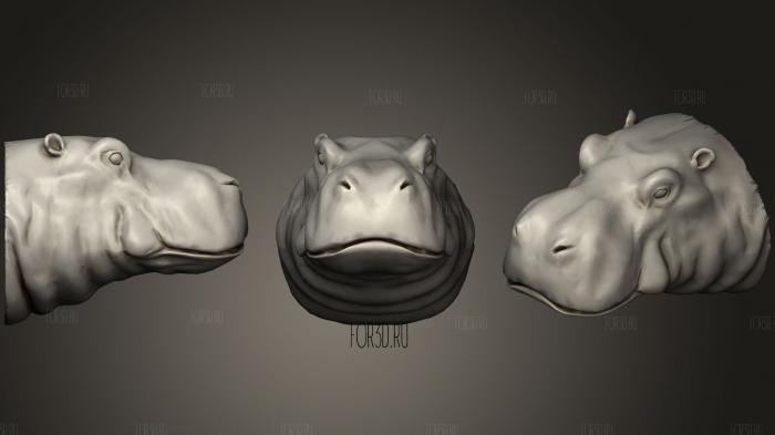 Hippo Head   Low Poly