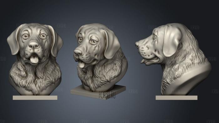 Labrador bust stl model for CNC