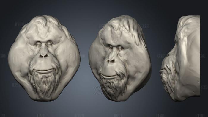 Orangutan 142 3d stl модель для ЧПУ