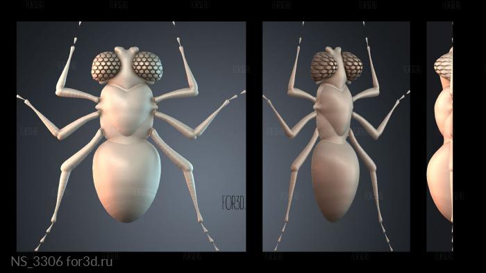 NS_3306 stl model for CNC
