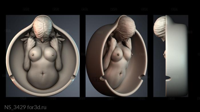 NS_3429 3d stl модель для ЧПУ