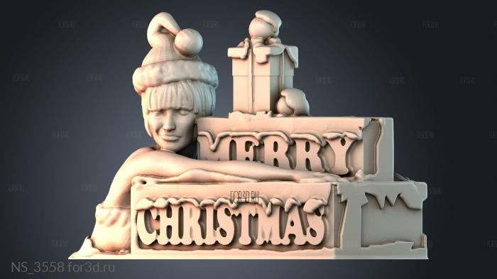 NS_3558 3d stl модель для ЧПУ