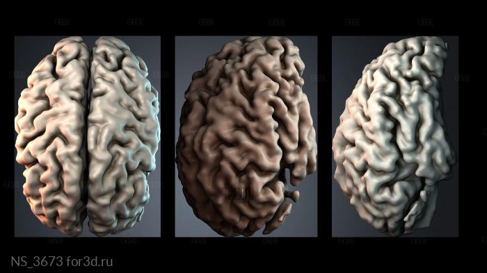 NS_3673 3d stl модель для ЧПУ