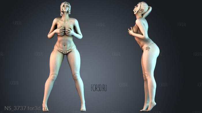 NS_3737 3d stl модель для ЧПУ