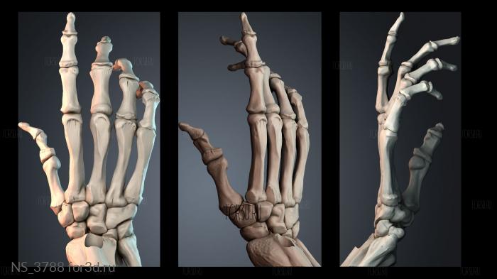 NS_3788 3d stl модель для ЧПУ