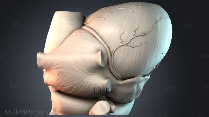 NS_3790 3d stl модель для ЧПУ