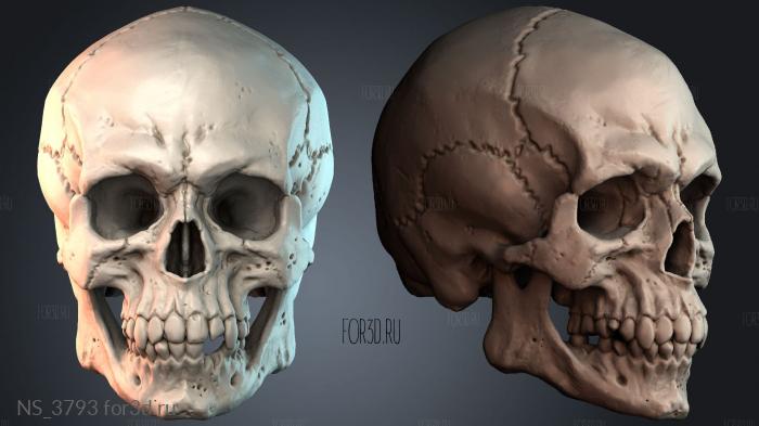 NS_3793 3d stl модель для ЧПУ