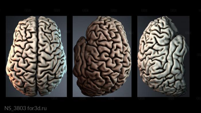 NS_3803 3d stl модель для ЧПУ