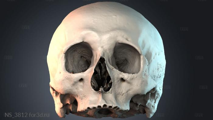 NS_3812 3d stl модель для ЧПУ