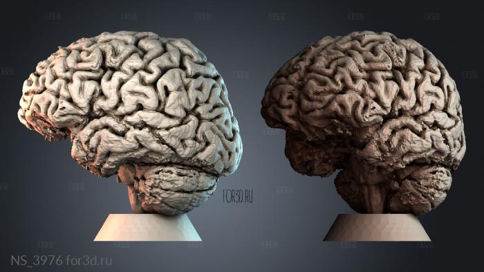 NS_3976 3d stl модель для ЧПУ