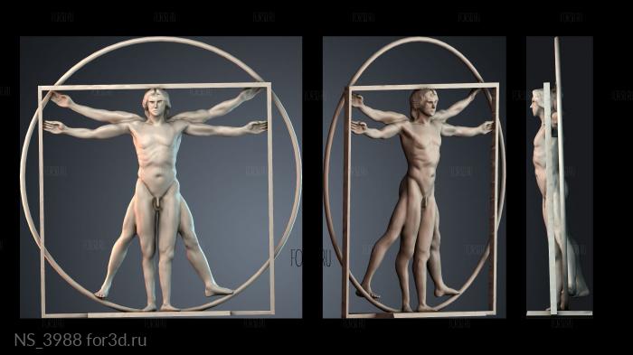 NS_3988 3d stl модель для ЧПУ