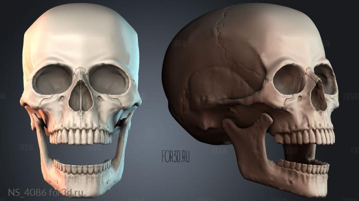 NS_4086 3d stl модель для ЧПУ