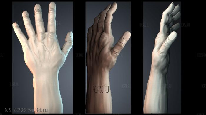 NS_4299 3d stl модель для ЧПУ