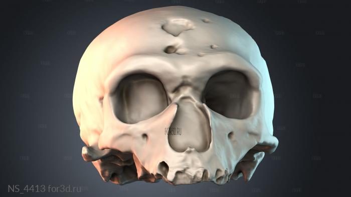 NS_4413 3d stl модель для ЧПУ